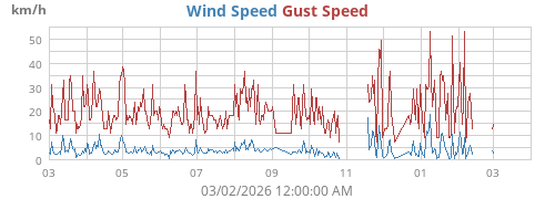yearwind
